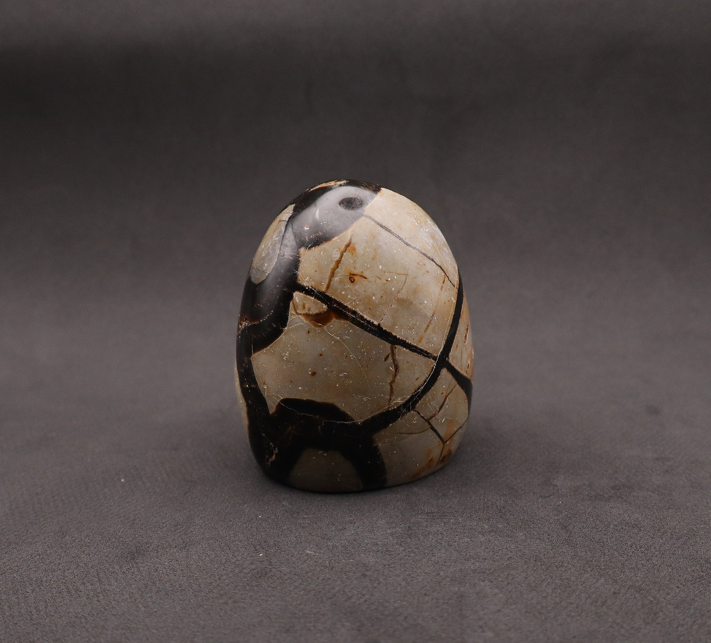 Drusy Septarian