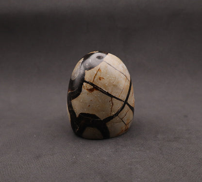 Drusy Septarian