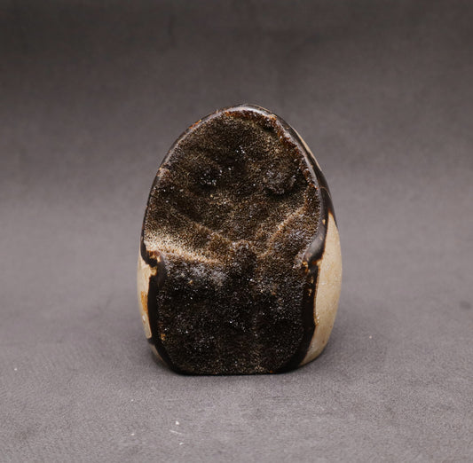Drusy Septarian