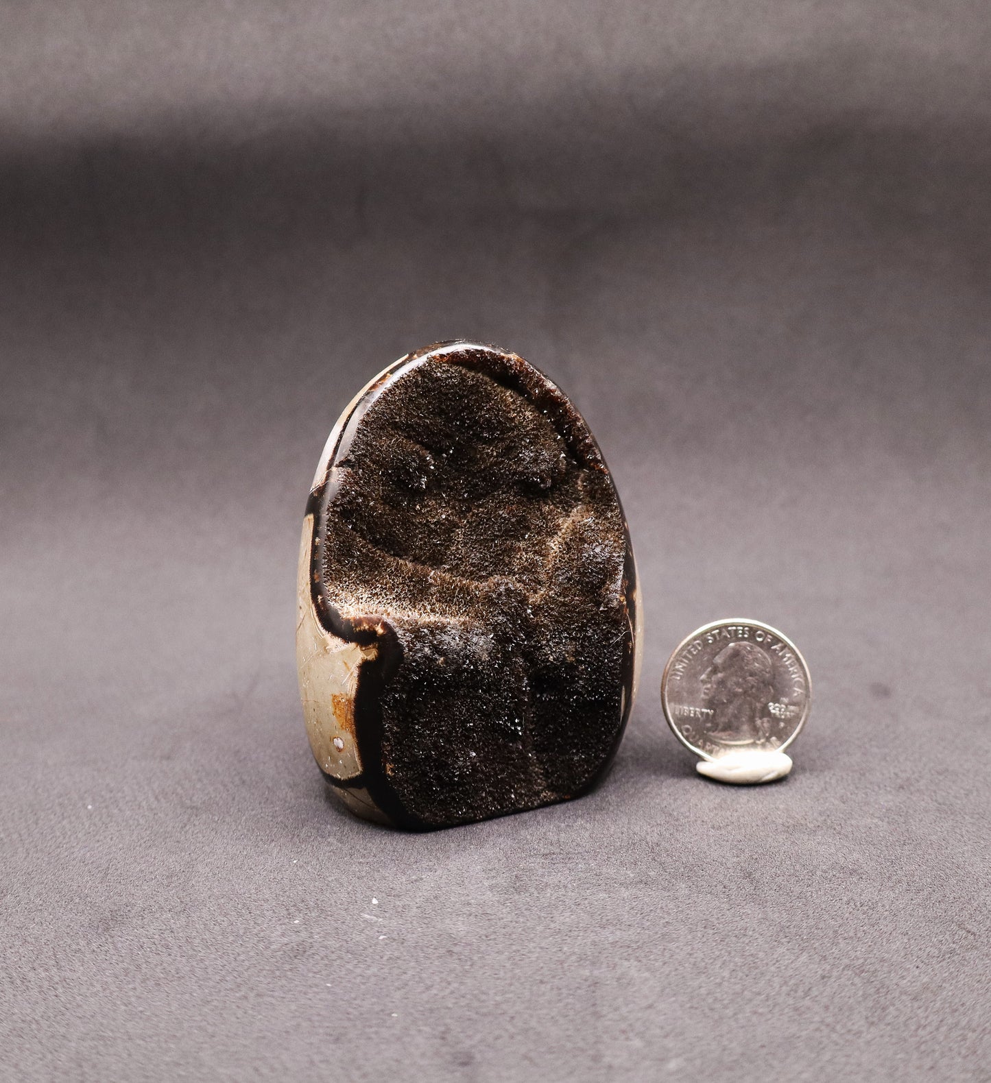 Drusy Septarian