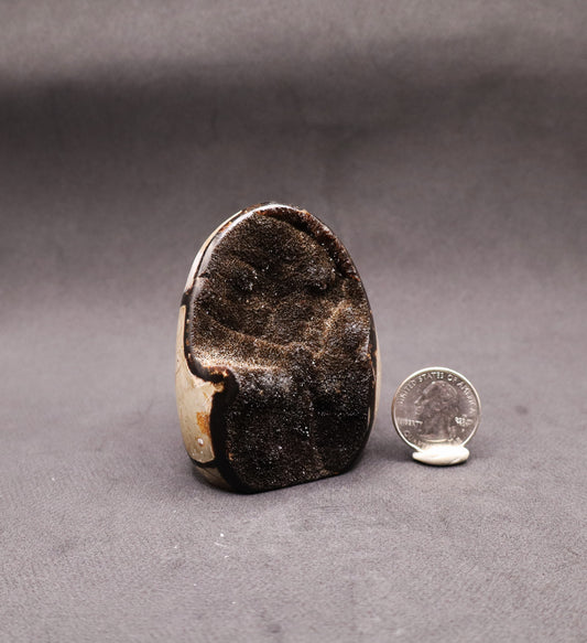 Drusy Septarian