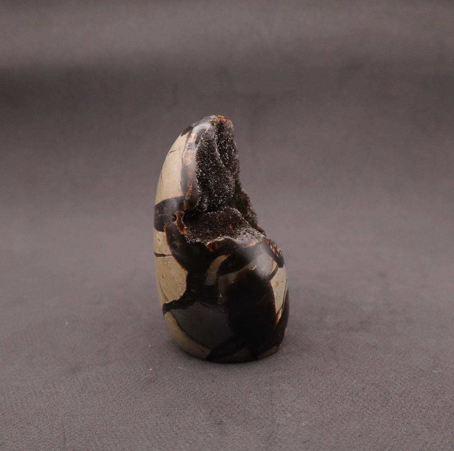 Drusy Septarian