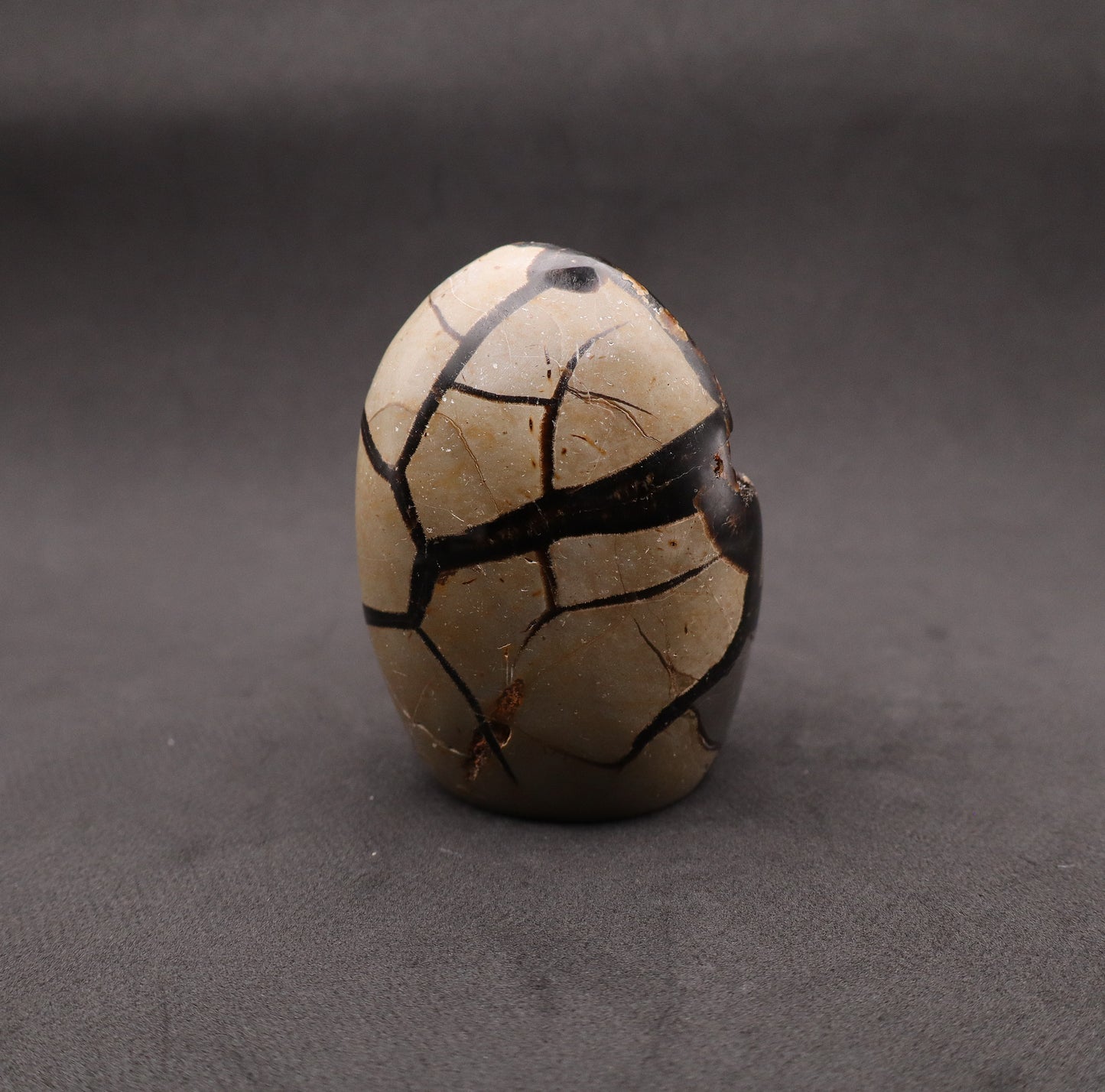 Drusy Septarian