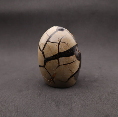 Drusy Septarian