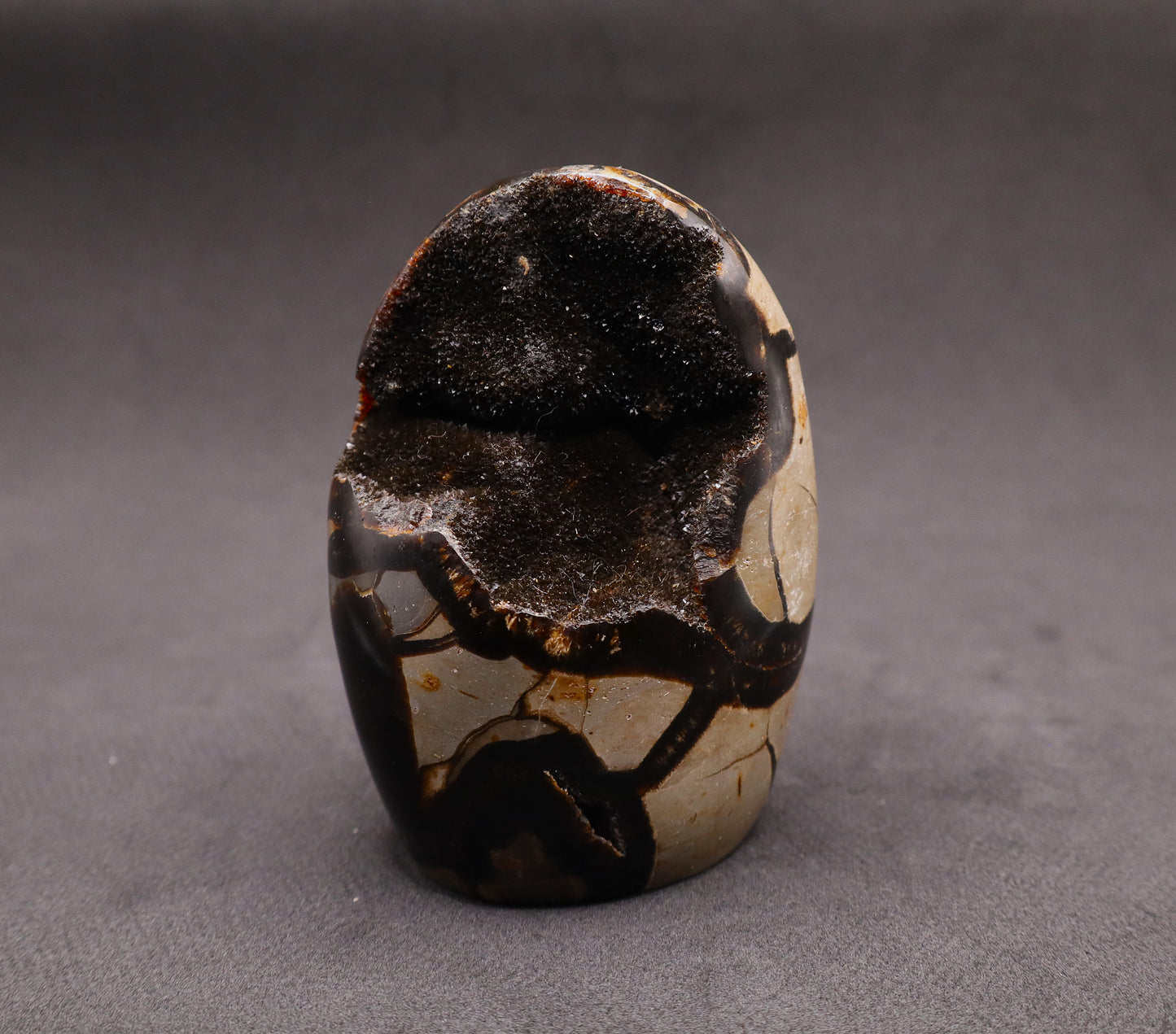Drusy Septarian