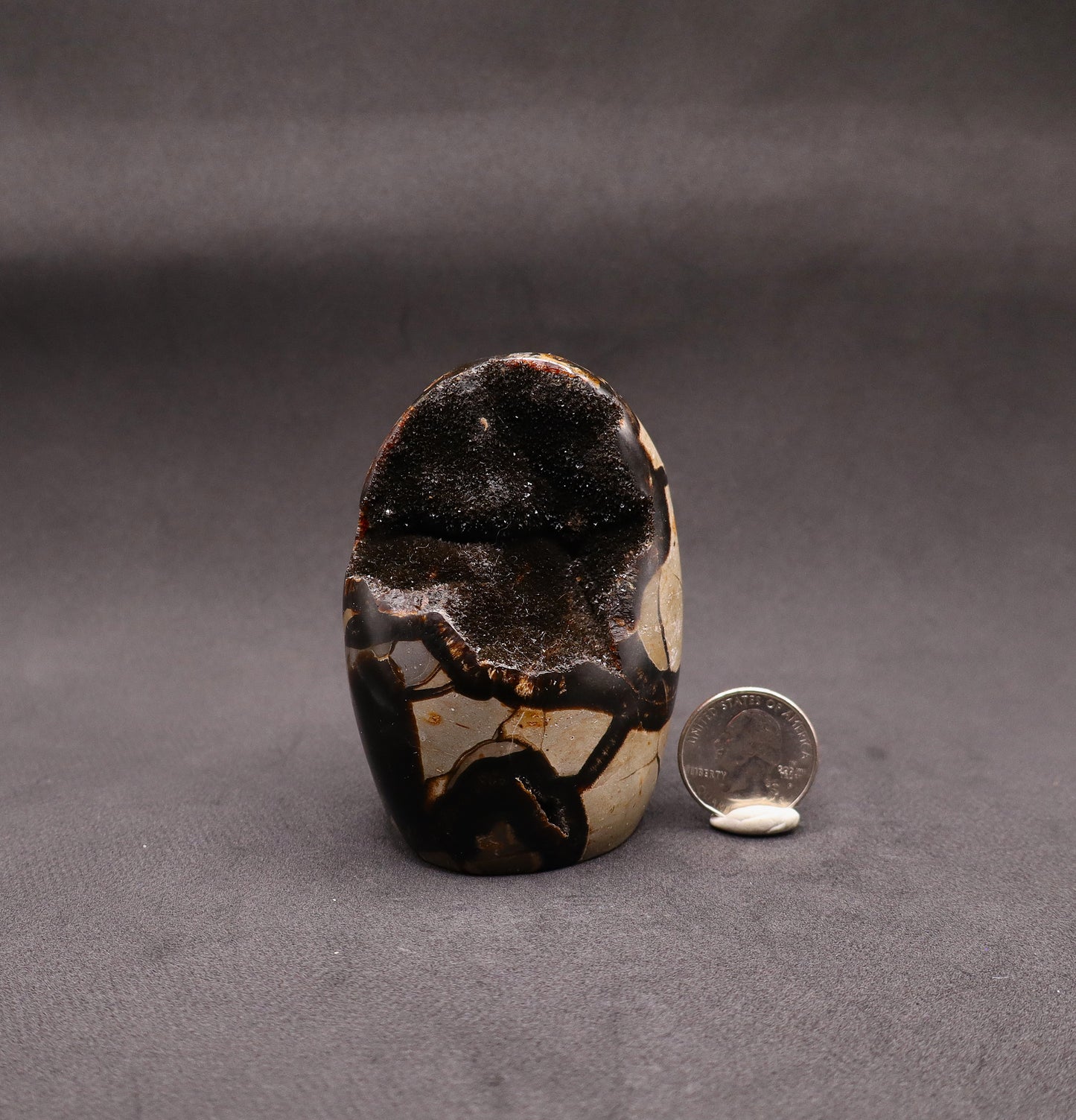 Drusy Septarian