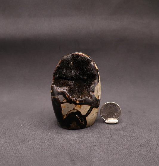 Drusy Septarian