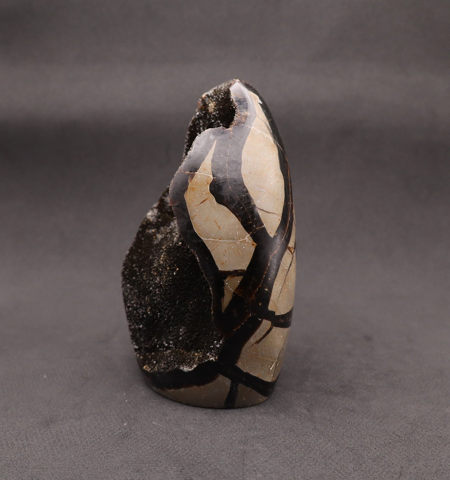 Drusy Septarian