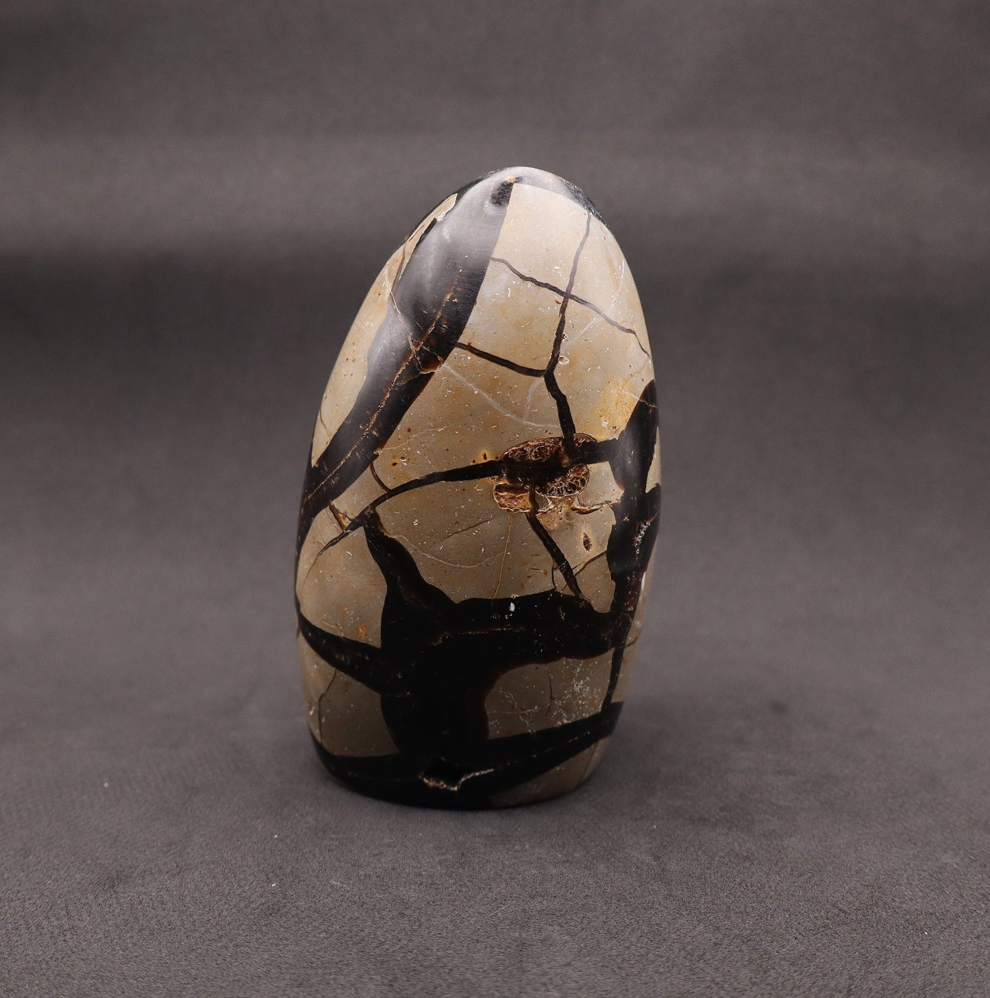 Drusy Septarian