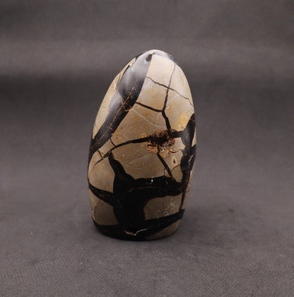 Drusy Septarian