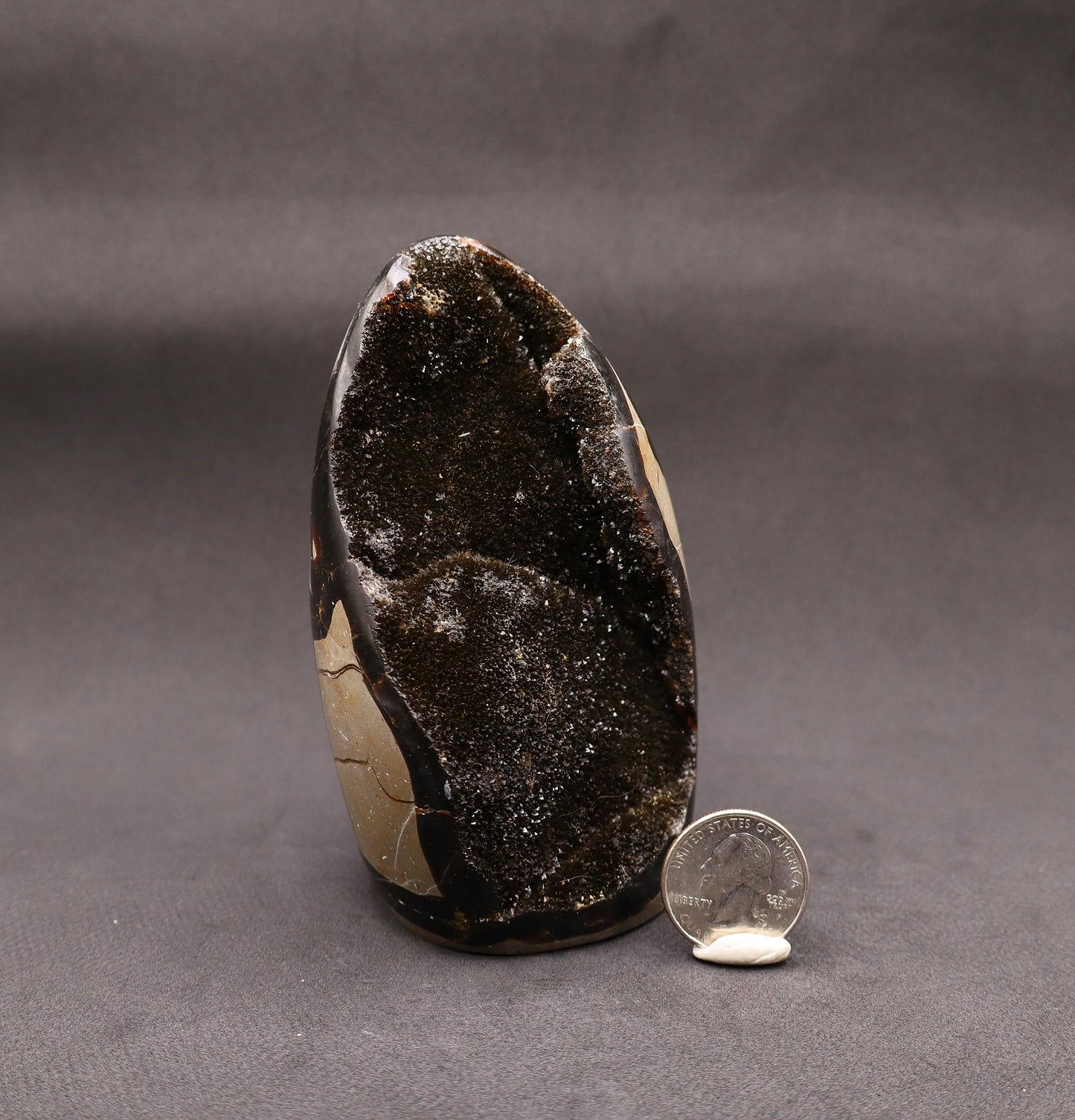Drusy Septarian