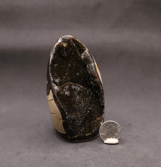 Drusy Septarian