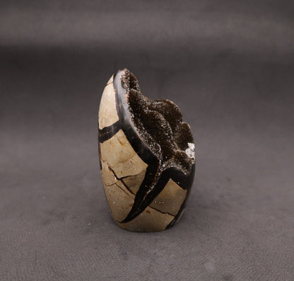 Drusy Septarian