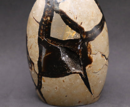Drusy Septarian