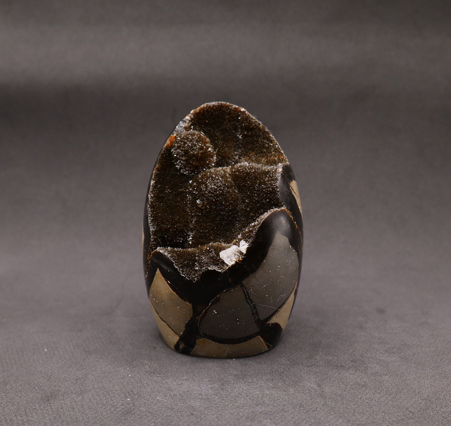 Drusy Septarian