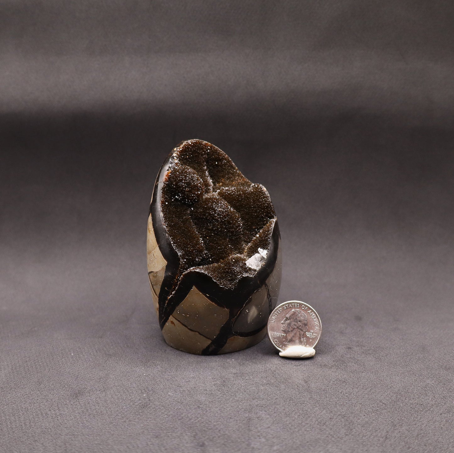 Drusy Septarian