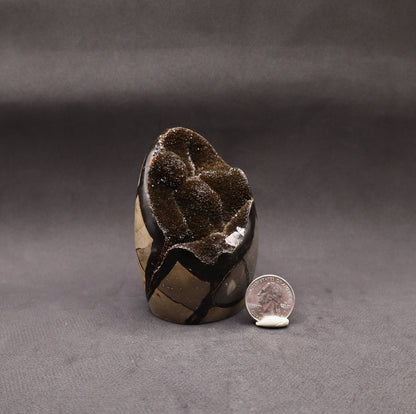Drusy Septarian