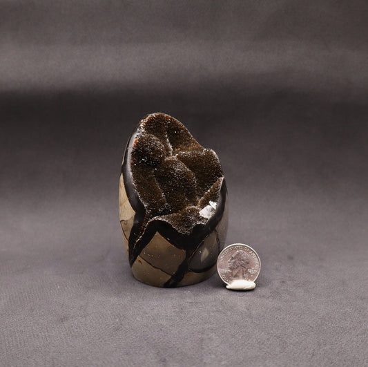 Drusy Septarian